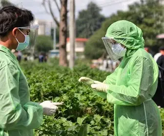 Outubro Verde: Prefeitura de Alagoinhas realiza ação itinerante de saúde e testagem rápida