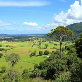 Roteiro pelas Paisagens Rurais de Alagoinhas